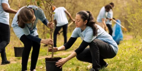 image_3-Environmental-Restoration-Project image_3-Environmental-Restoration-Project